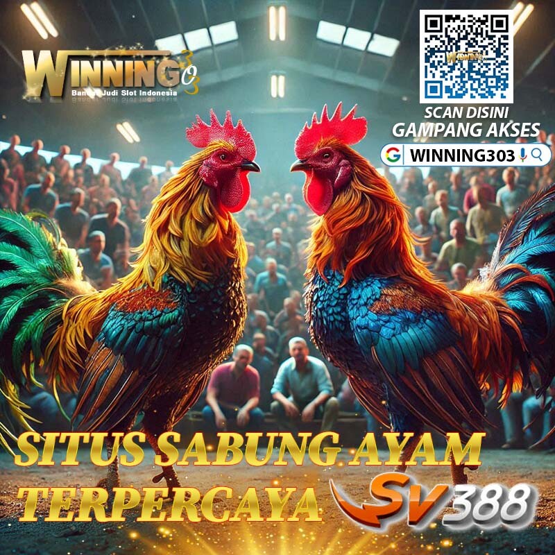 WINNING303 - Situs Taruhan Sabung Ayam Online SV388 Terpercaya dan Resmi